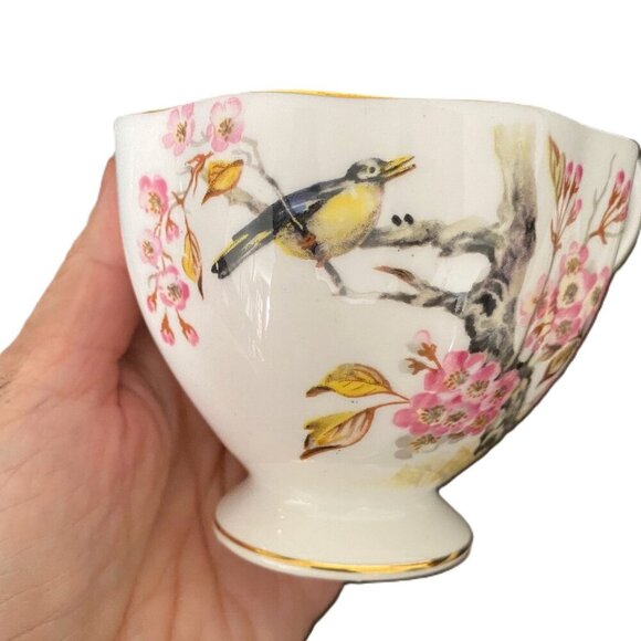 Vintage Queen Anne Bird in Cherry Blossom Tree Fine Bone China Cup Saucer Set - Picture 5 of 15